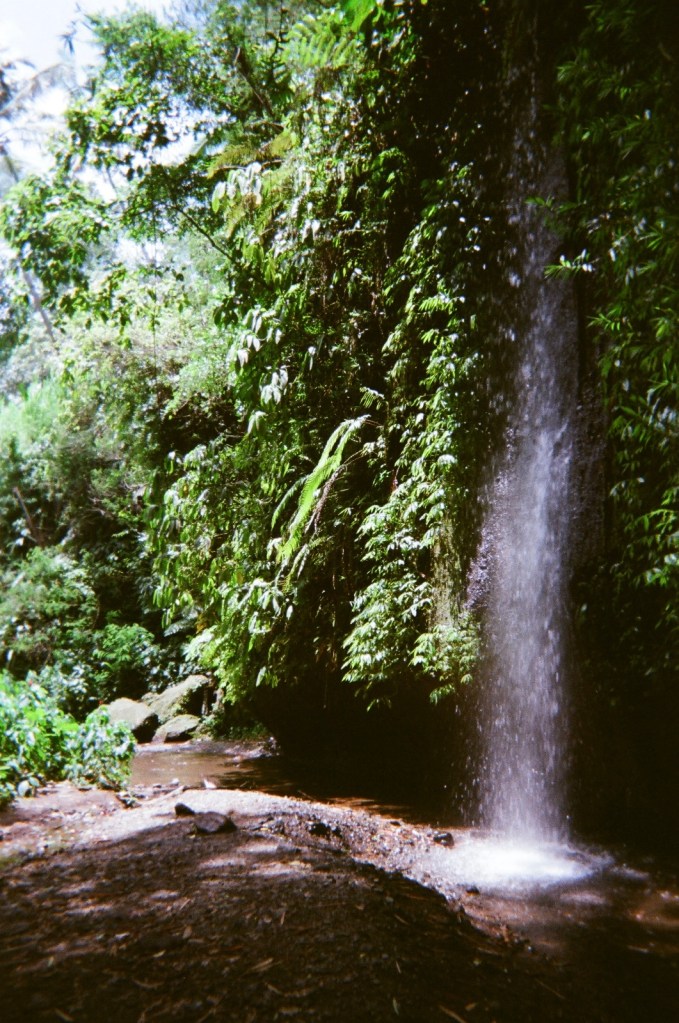 Tropical waterfall in lush jungle, Southeast Asia - travel photography by Sakine Gulec