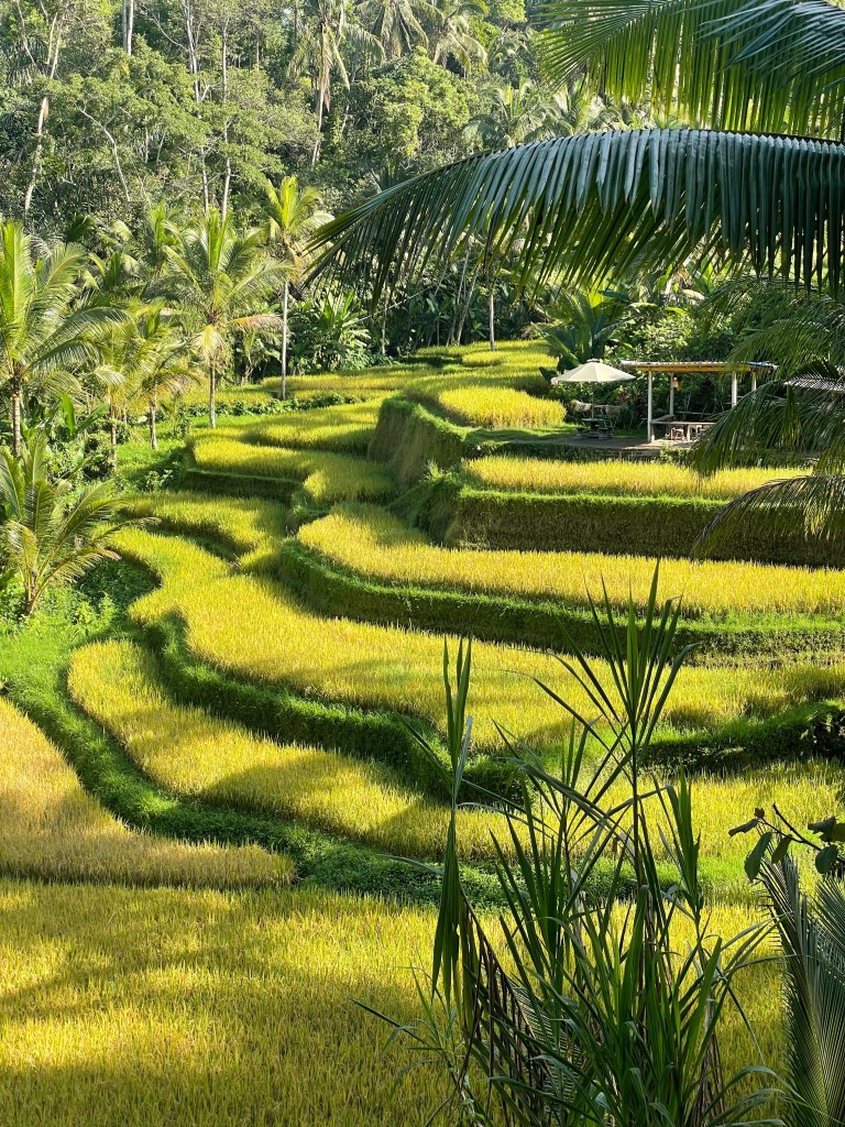 Scenes from Asia - travel photography by Sakine Gulec
