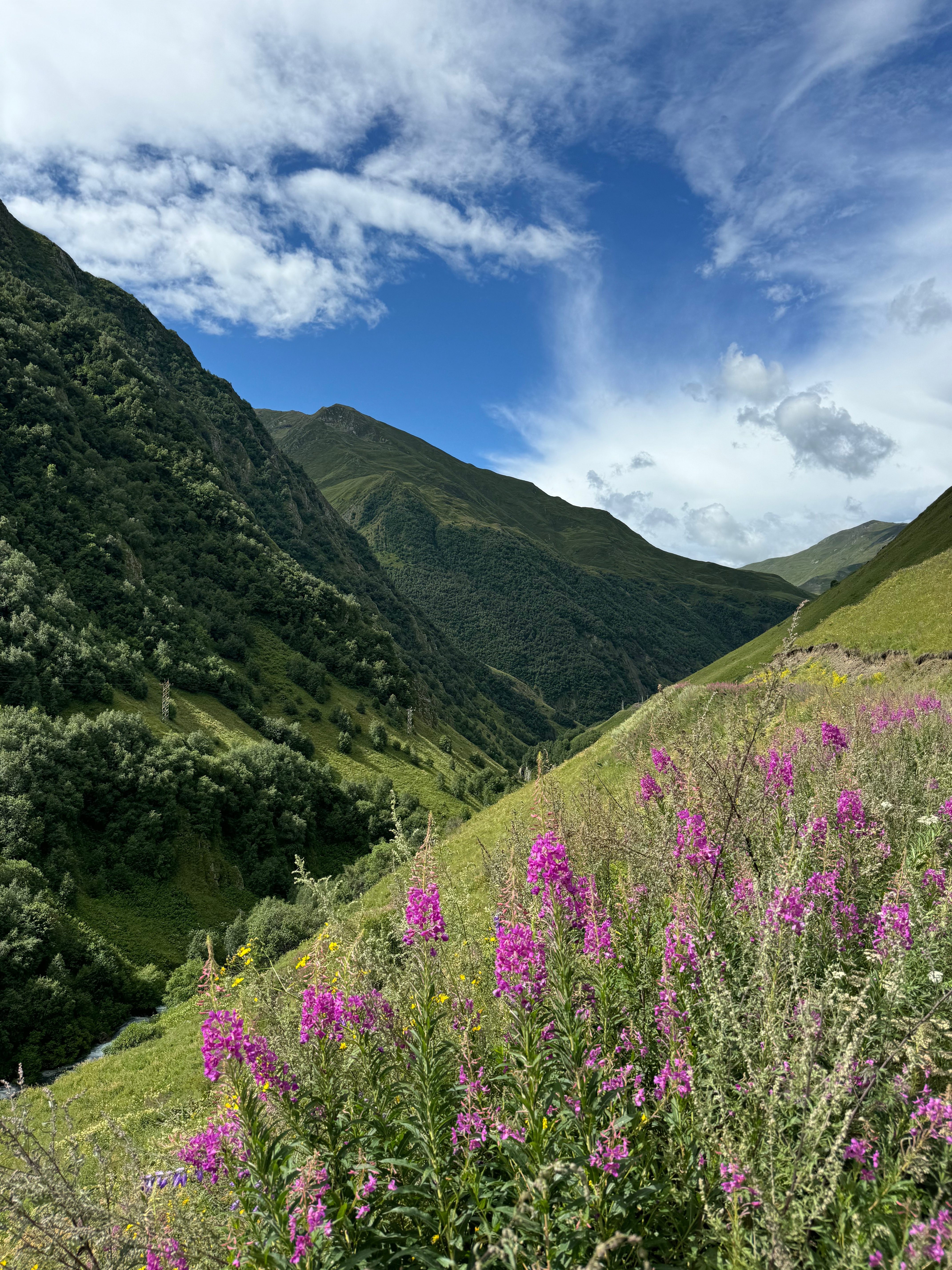sakine gulec dolomites pics