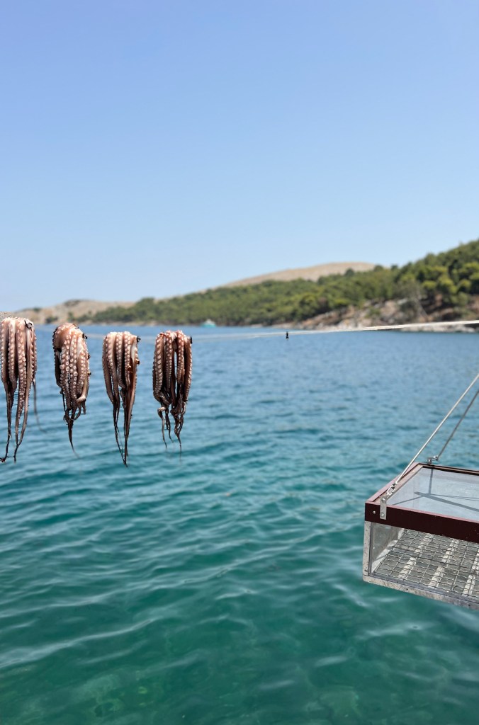 Chios island landscape - photography by Sakine Gulec